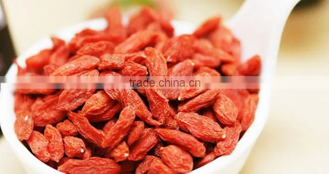 2016 new arrival organic goji berries organic