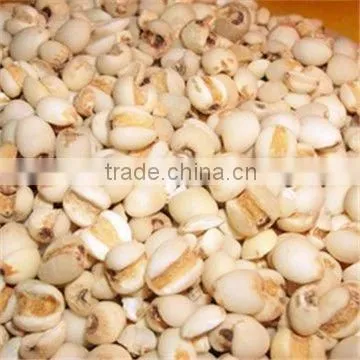 Organic Coix seed/Hairdressing food