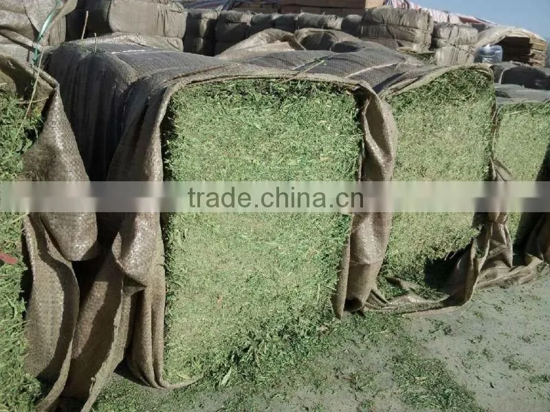 China stevia fanning for herbal tea