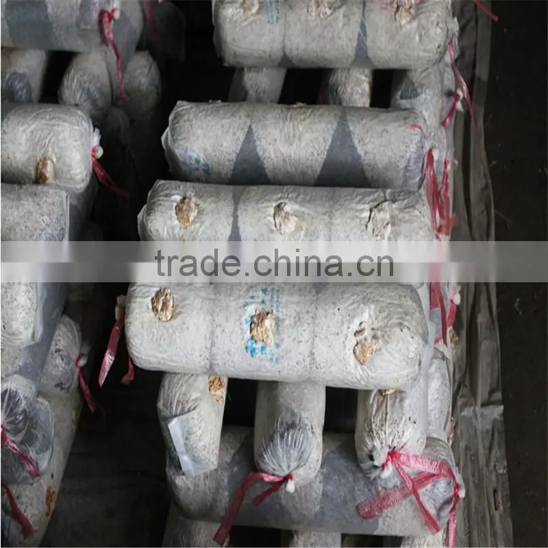 2016 Hot Selling Mushroom Prices,Shitake Mushroom Growing,Mushroom Logs