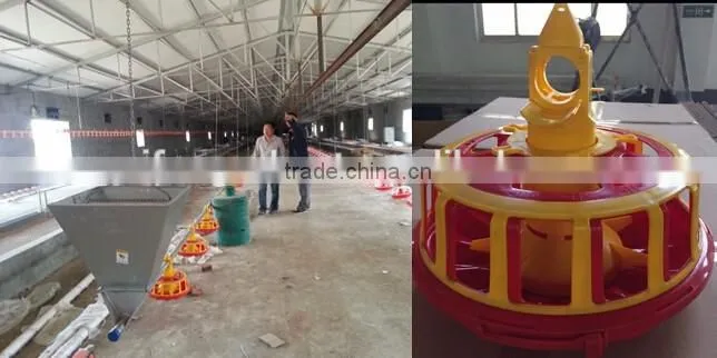 poultry chain feeding system for breeders, poultry pan feeding system for breeders
