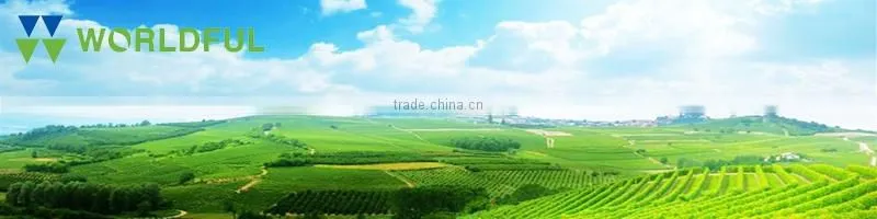 Natural Organic Fertilizer Amino Acid with NPK 10-10-10