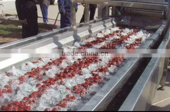 stainless steel food washing machine