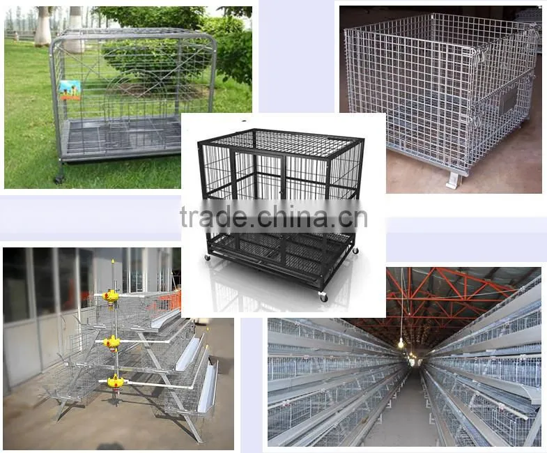 China supplier, animal wire mesh/chicken netting/chicken cage