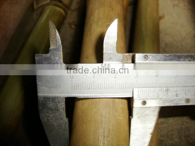 china 2015 new product for bamboo poles cheap sale