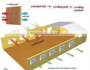 Axial flow fan/ high temperature ventilation fan