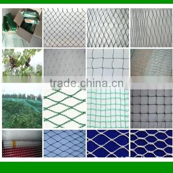 Hot sale UV treated BOP strech net plastic plant climbing nets