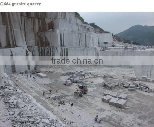 Lowest Price g664 paving stones