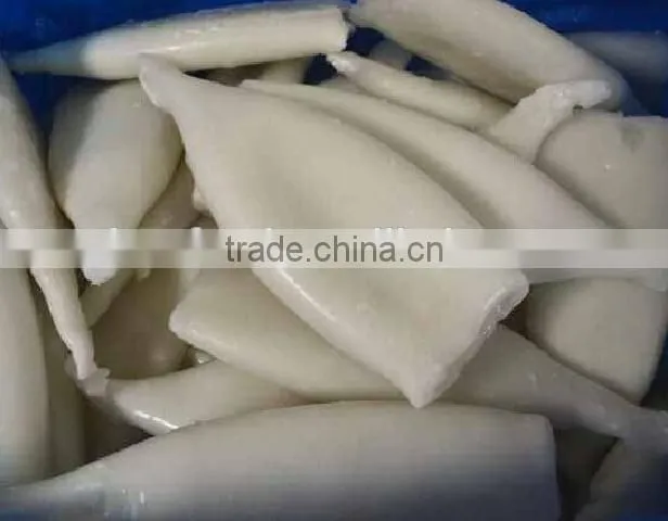 seafood frozen squid tube U10