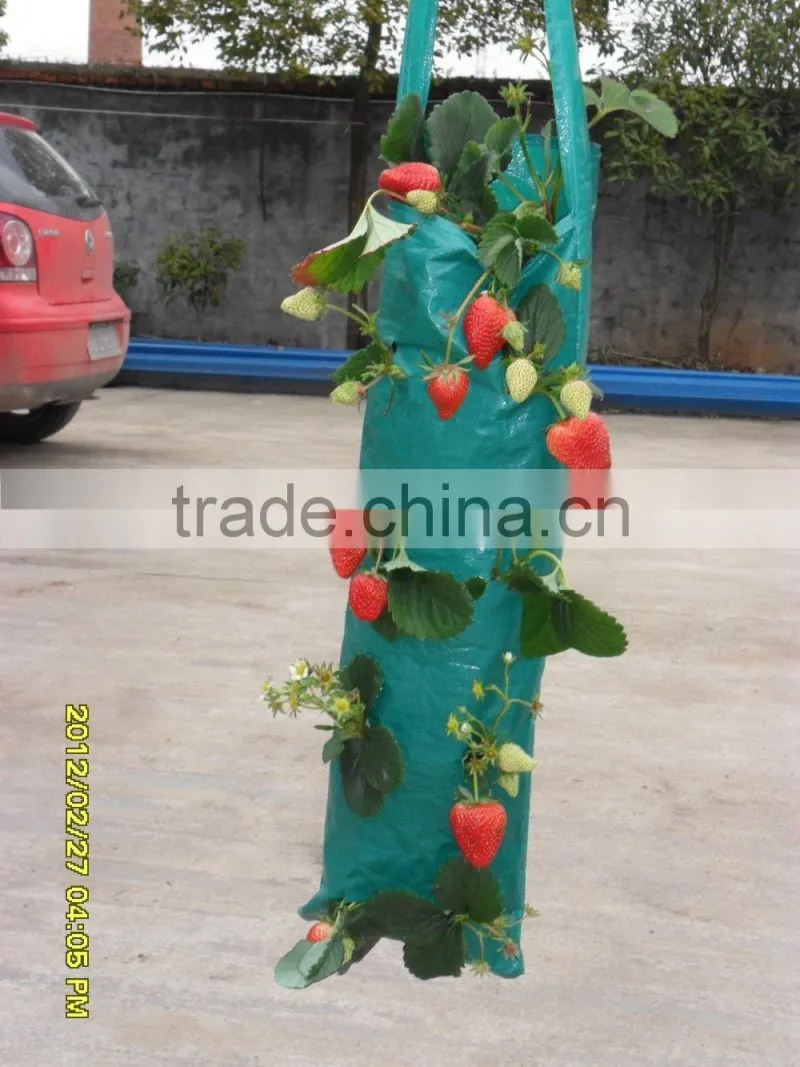 Cheap eco-friendly indoor plastic hanging planting bags