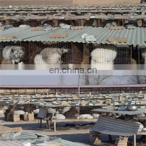 Soft and Smooth High quality White fox fur skin/white fox fur raw skins