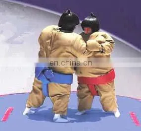 2013 inflatable fighting sumo