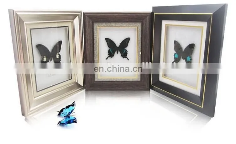 Nature real butterfly frame home decoration craft