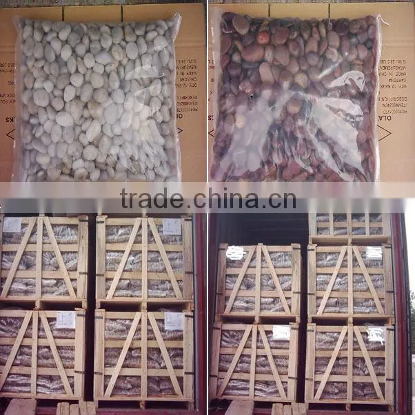 sample of five color pebble stone