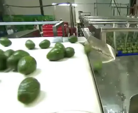 Turnkey Complete Industrial High Pressure Processing HPP Avocado Paste Puree Processing Machine