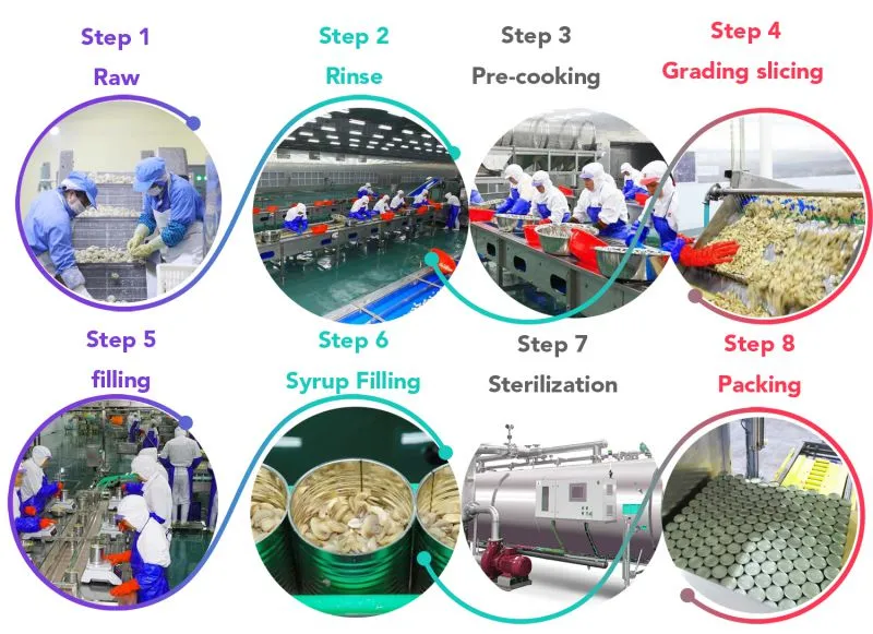 Complete Canned Kiwi Fruit Canning /canning Processing Machine/line