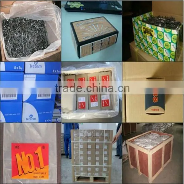galvanized roofing nails/ umbrella roofing nails