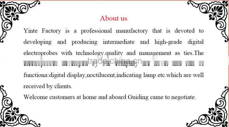 China Factory Professional digital multimeter/ universal meter with test probe from Zhejiang