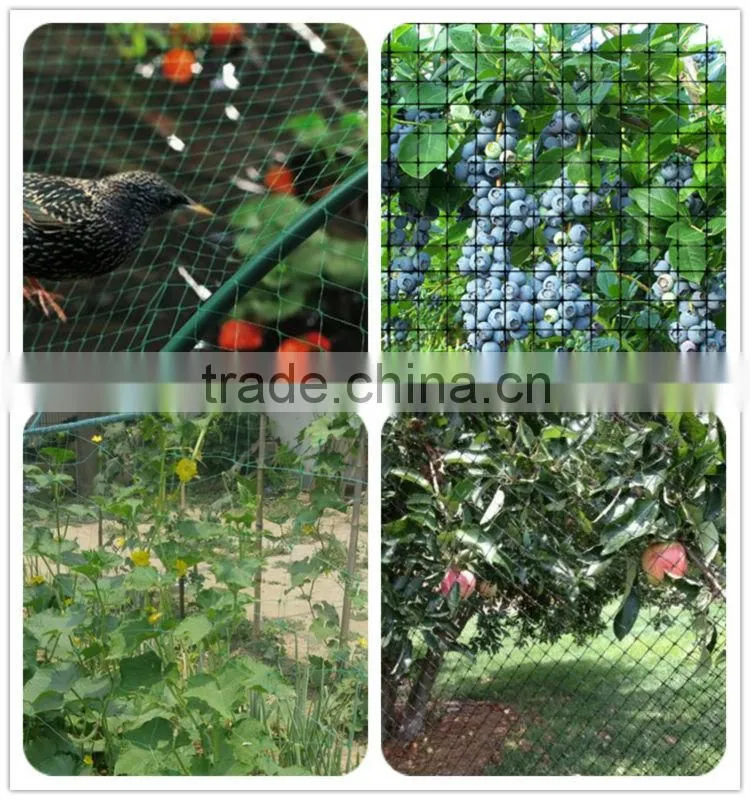 100% new material plastic anti bird net with uv treated bop stretch net