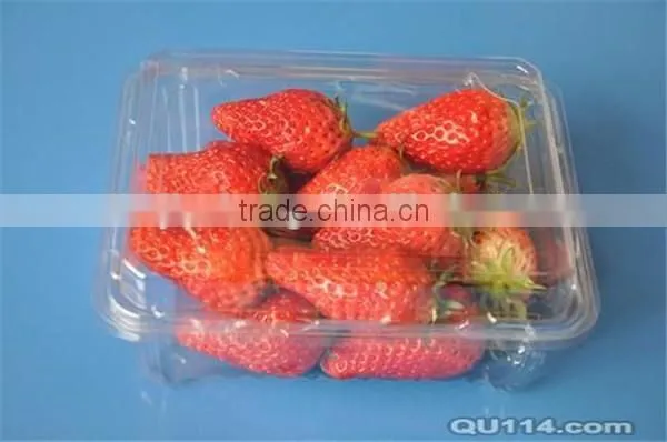 PET plastic transparent boxes for packing strawberry