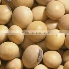 Cold Pressed Soy Bean Oil