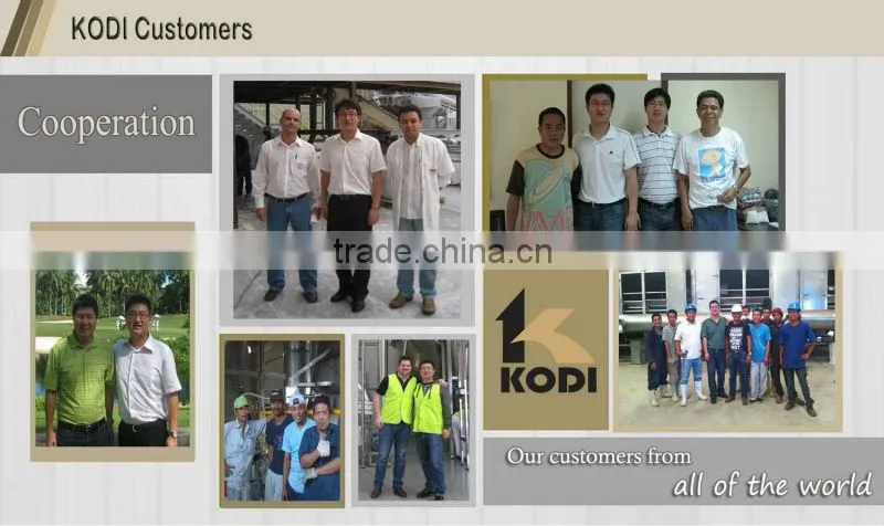 DW Model Continuous Sunflower Seeds Mesh Conveyor Belt Dryer