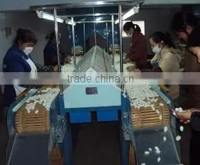 Anhui Kexin Cocoon Industry Co., Ltd. company overview - view 1