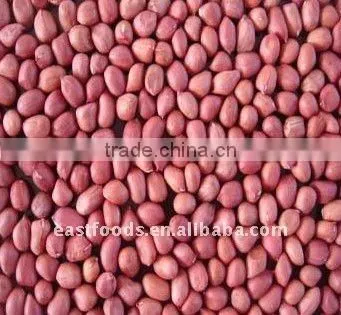 Chinese round type Peanut Kernels