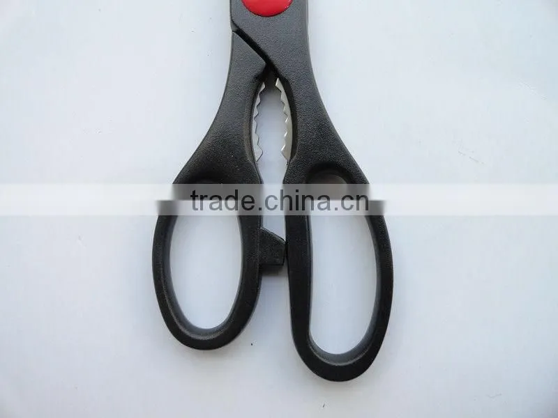 Professional Shears Set