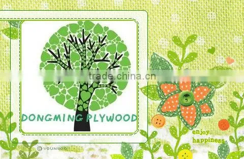 Chinese White 4mm Melamine Fancy Plywood