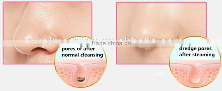 Home use face steamer