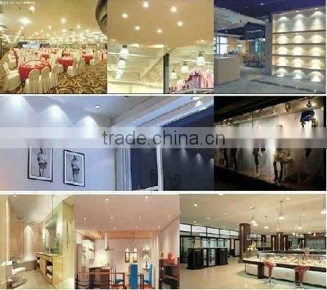 cree led down light 230v