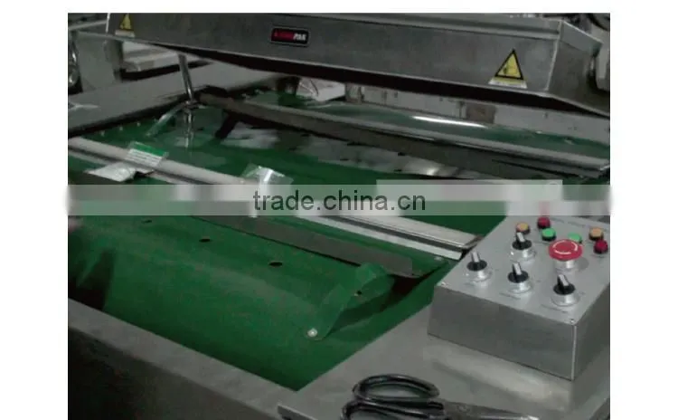 DZ1000 Automatic Food Vacuum Packing Machine