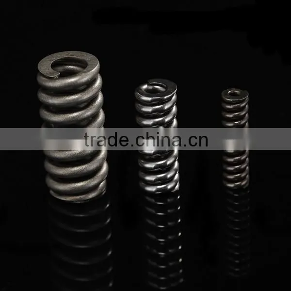 Bosch Fuel Injector Spring 2434619017