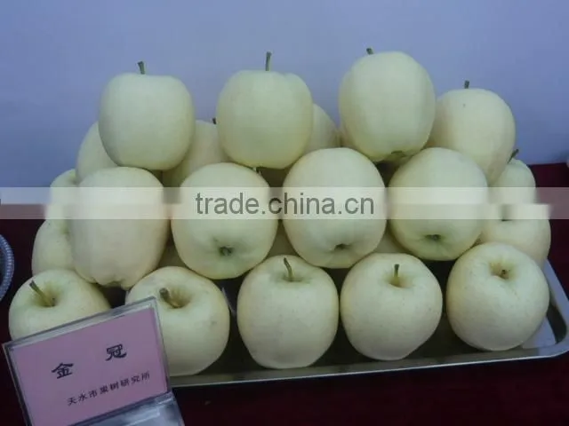 fresh golden apple
