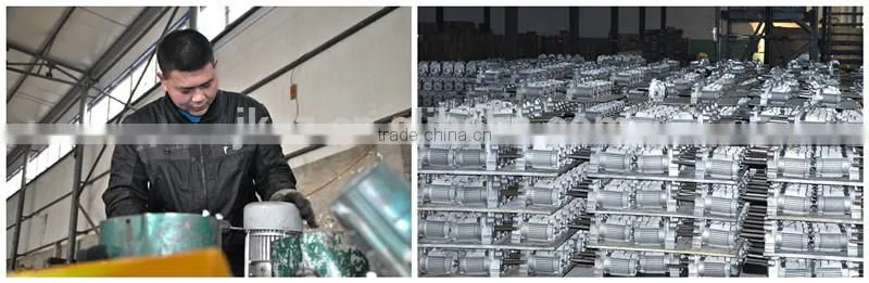 Portable Mobile Hoist Equipment