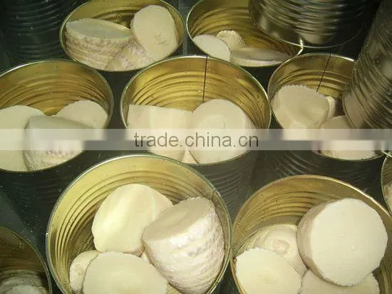 567g Canned Bamboo Shoot Whole