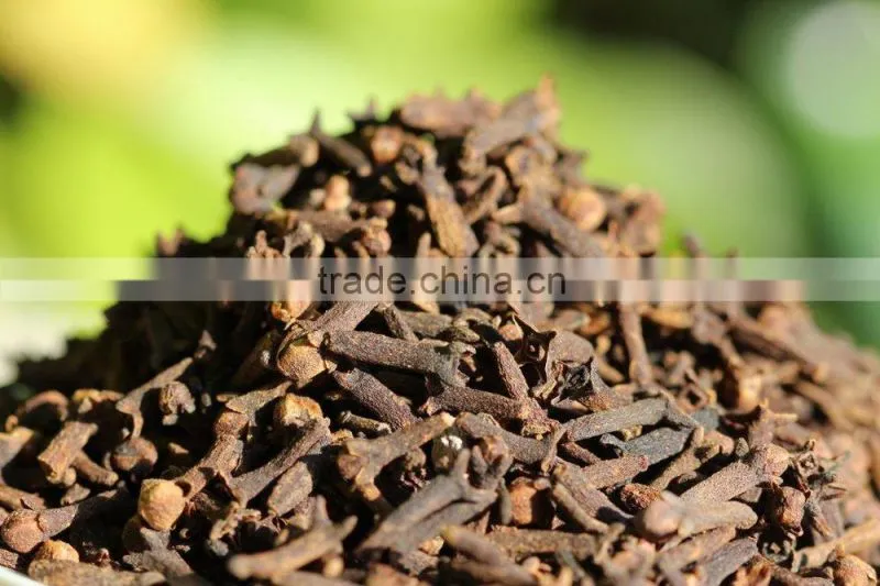 SUPPLY CLOVES (Call: +84 1687264621)