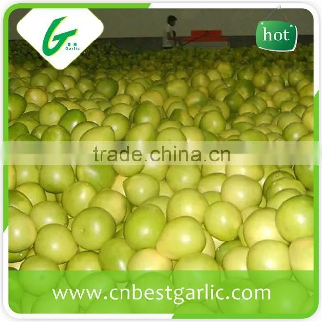 Fresh sweet honey pomelo in box
