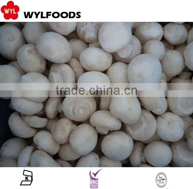 IQF china price for frozen Champignons whole 2015 high quality