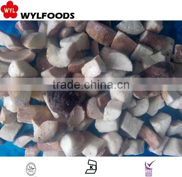 frozen boletus edulis yunnan for hot sale