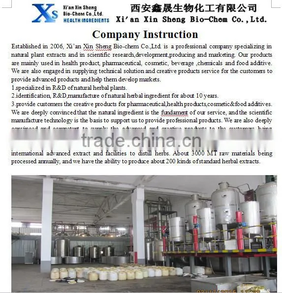 GMP Kosher Natural Hoodia cactus Extract 10:1