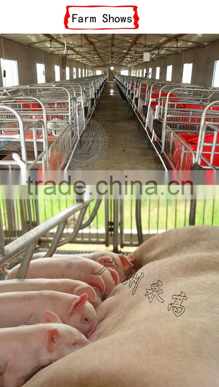 Gestation/Nursery/Farrowing crate for pigs/farrowing crate pig floor