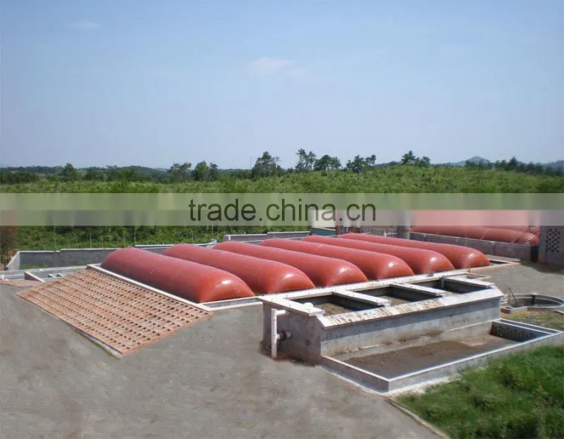 Hot Sale Biogas Plant Equipment/ Biogas Scrubber/ Biogas Storage Bag/ Biogas Holder/ Biogas Storage Tank/ Biogas Generator