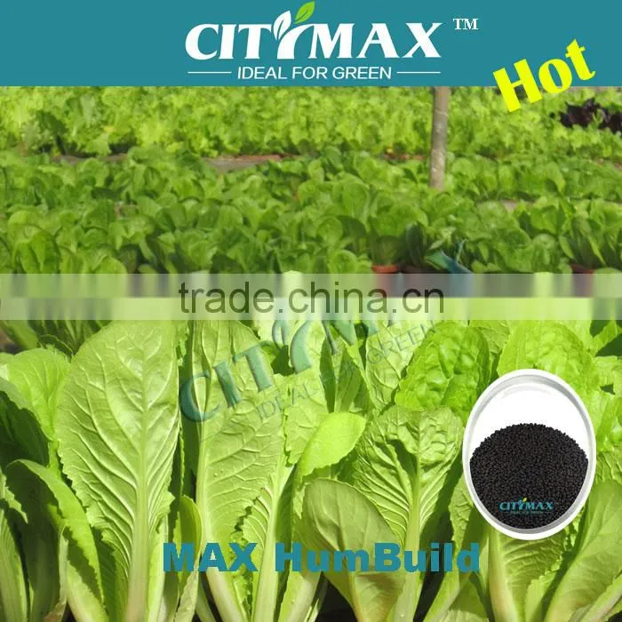 High Concentrate Humic Acid For Sale