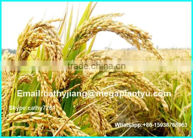 N90/N120/N150/N200 small complete rice milling equipment machine for sale price