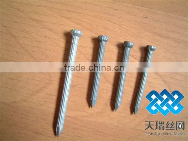 Nail/wire nail/common nails