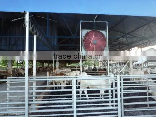 cow fan/hanging fan/dairy fan/dairy house fan/cow house fan