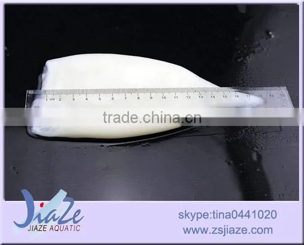 frozen seafood frozen squid tube