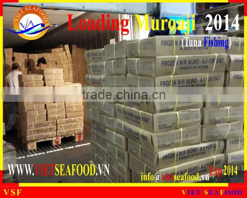 LOADING MUROAJI FOR TUNA BAIT